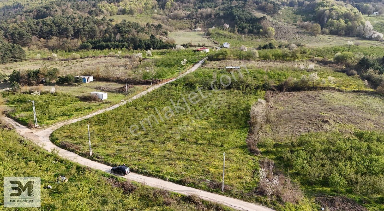 Sakarya Geyve İhsaniye 4410 M2 Köşe Parsel Fırsat Fındık Bahçesi - Görsel 15