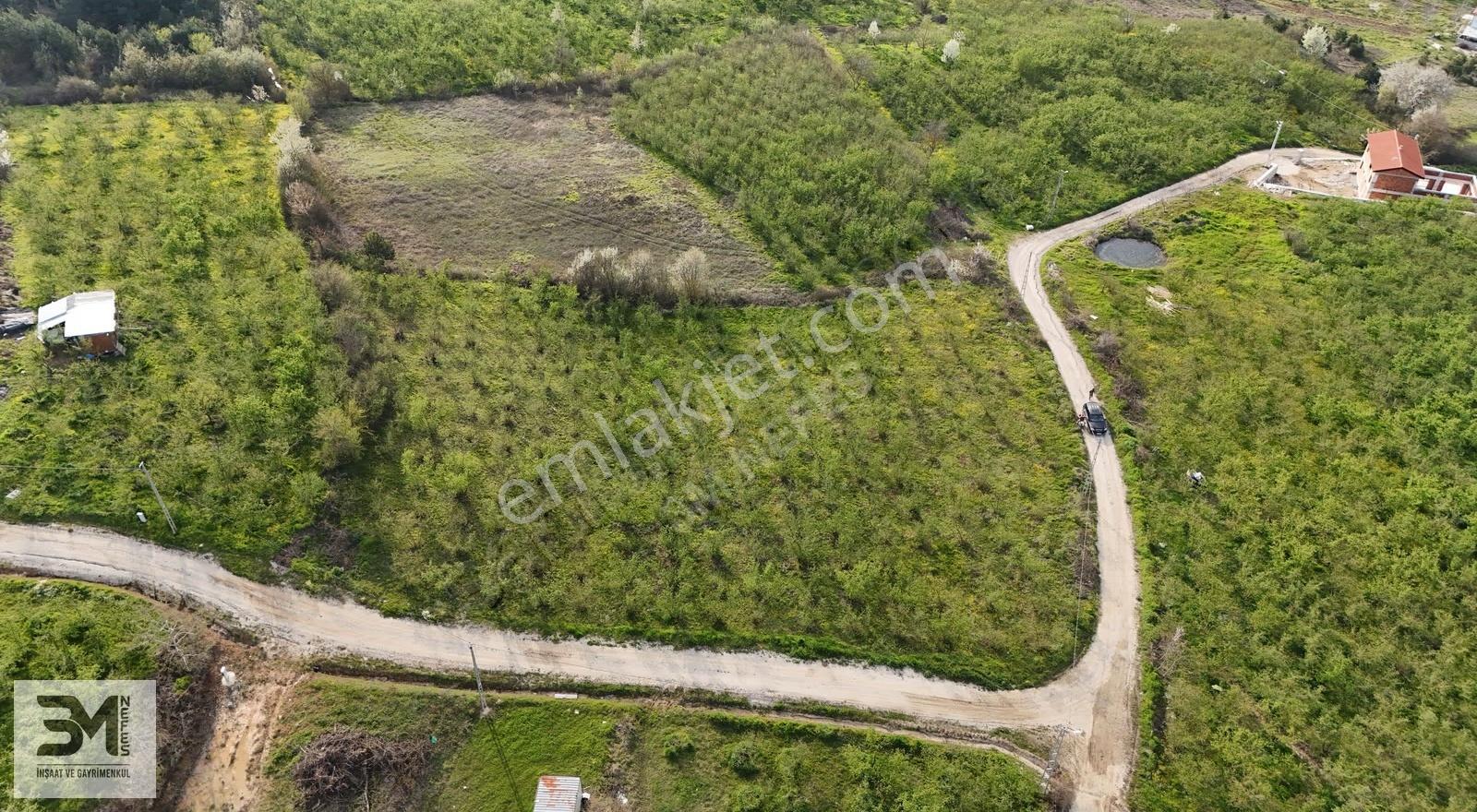 Sakarya Geyve İhsaniye 4410 M2 Köşe Parsel Fırsat Fındık Bahçesi - Görsel 4