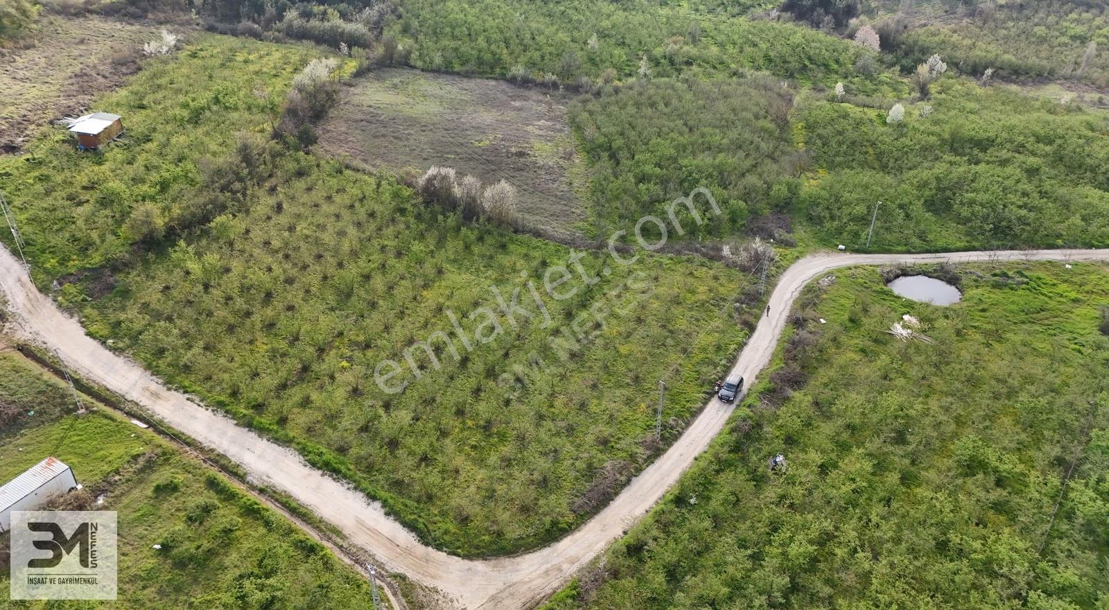 Sakarya Geyve İhsaniye 4410 M2 Köşe Parsel Fırsat Fındık Bahçesi - Görsel 31