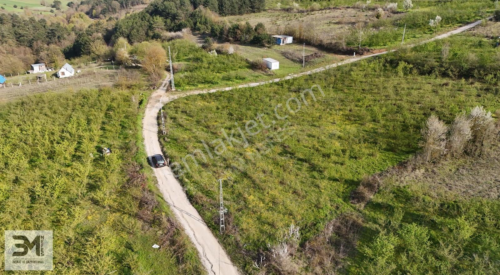Sakarya Geyve İhsaniye 4410 M2 Köşe Parsel Fırsat Fındık Bahçesi - Görsel 29