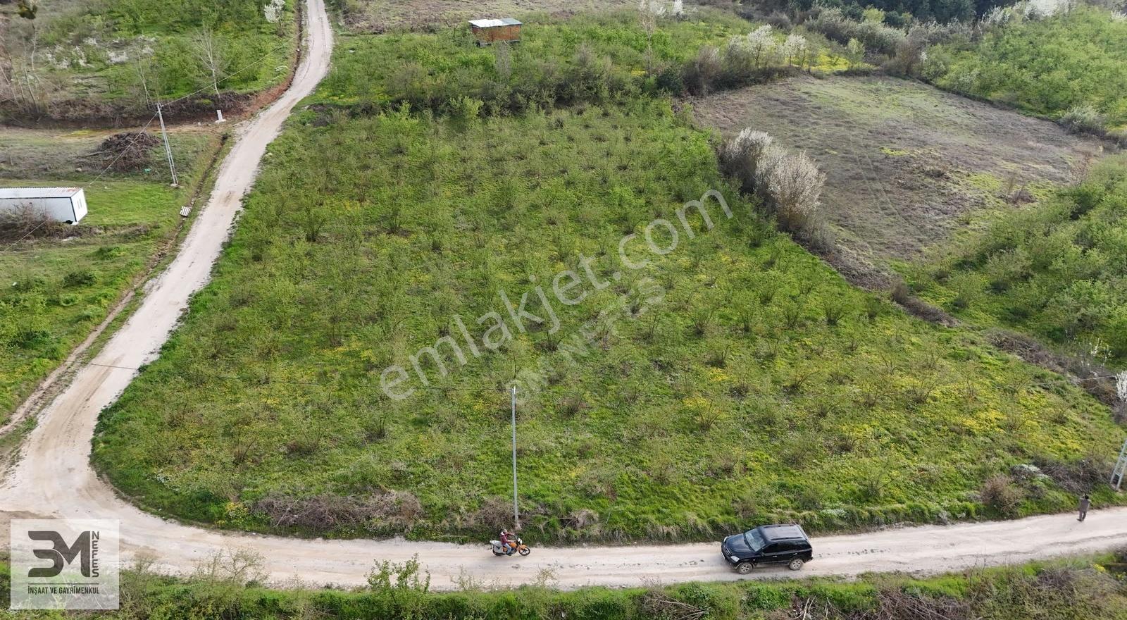 Sakarya Geyve İhsaniye 4410 M2 Köşe Parsel Fırsat Fındık Bahçesi - Görsel 20