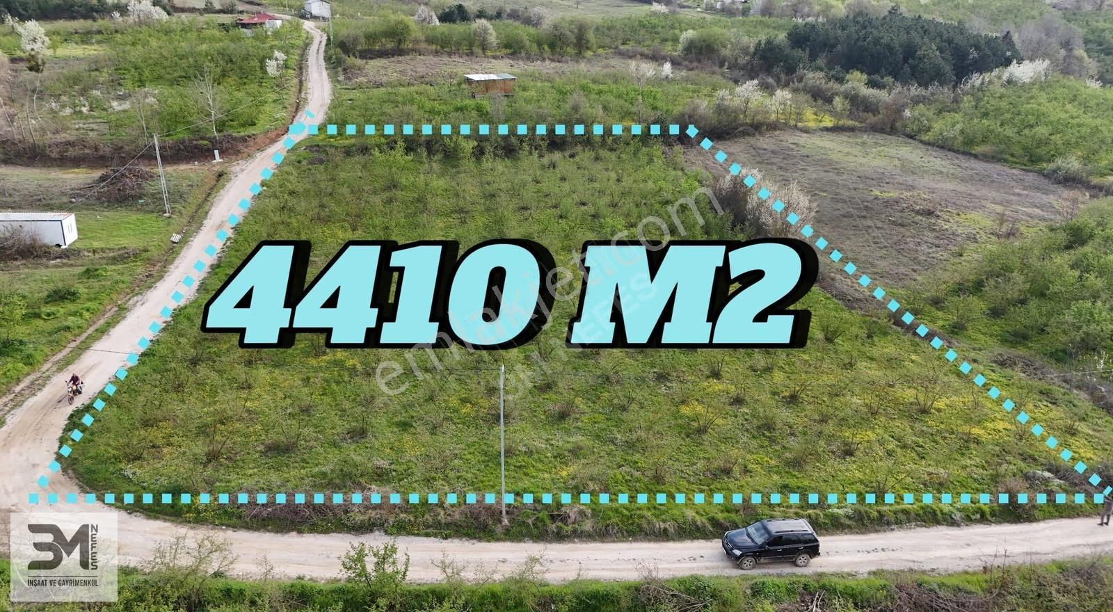 Sakarya Geyve İhsaniye 4410 M2 Köşe Parsel Fırsat Fındık Bahçesi - Görsel 8