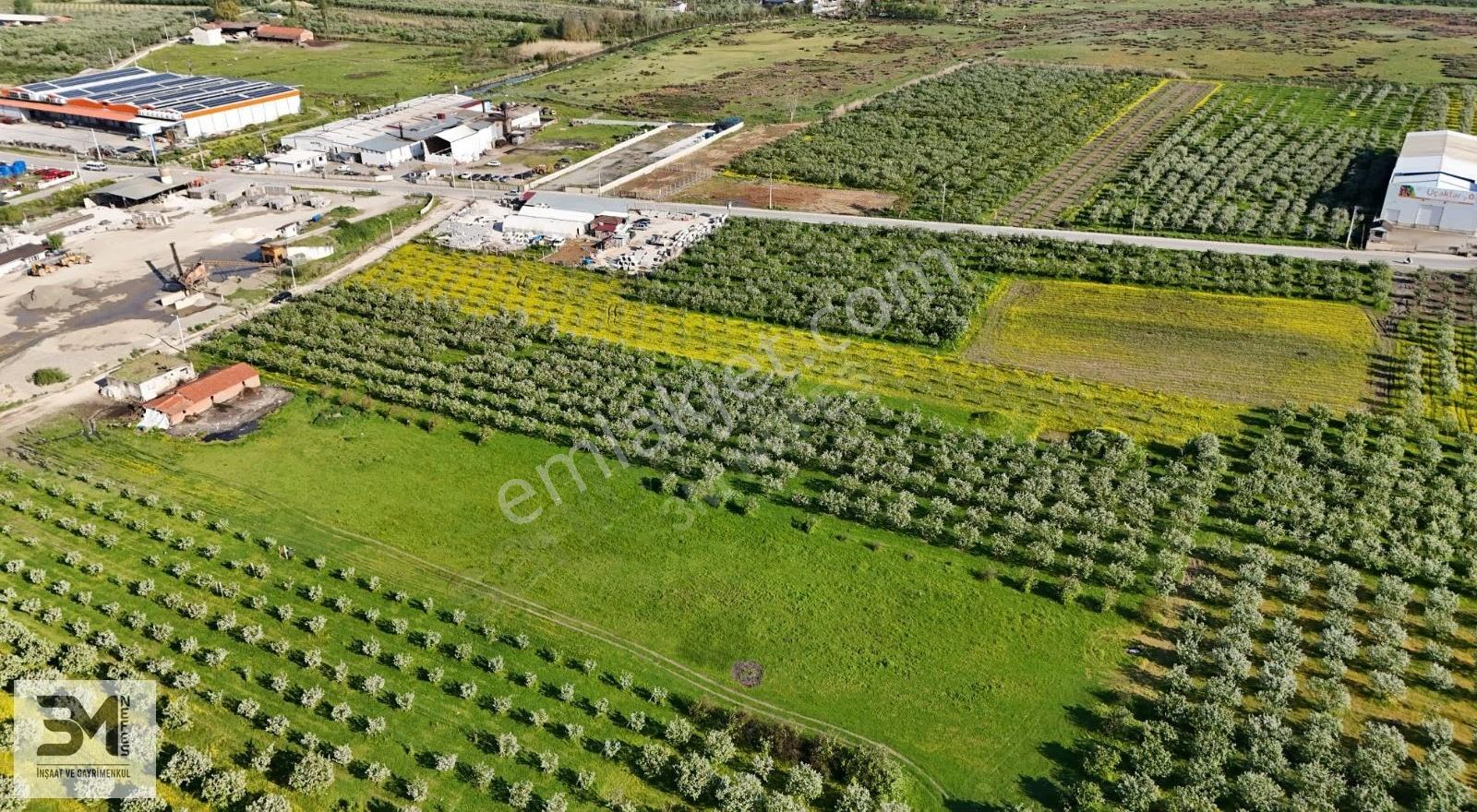 Geyve Umurbey'de 6395 M² Sanayi Yanı Fırsat Arsa - Görsel 6