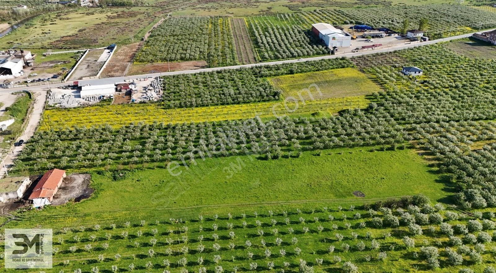 Geyve Umurbey'de 6395 M² Sanayi Yanı Fırsat Arsa - Görsel 4