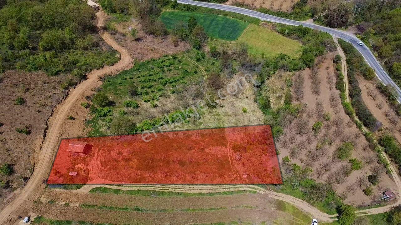 İdenova'dan Yenişehir Yeniköy'de 2843 M² Verimli Tarla - Görsel 4