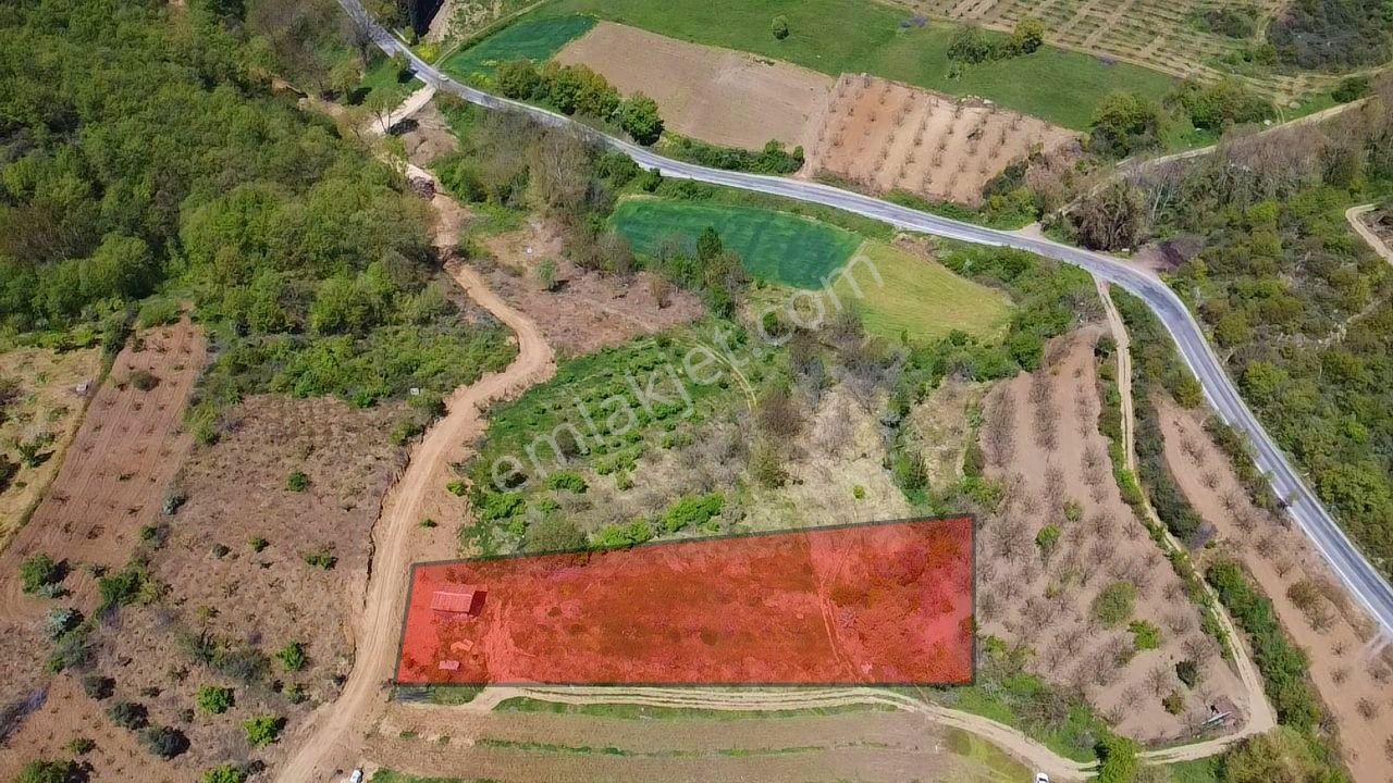 İdenova'dan Yenişehir Yeniköy'de 2843 M² Verimli Tarla - Görsel 9