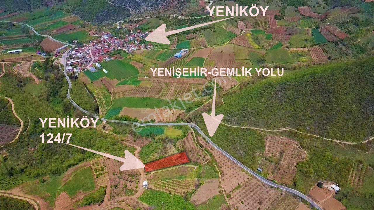 İdenova'dan Yenişehir Yeniköy'de 2843 M² Verimli Tarla