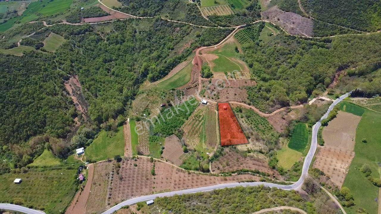İdenova'dan Yenişehir Yeniköy'de 2843 M² Verimli Tarla - Görsel 5