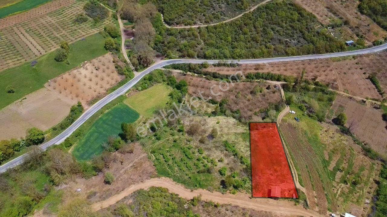 İdenova'dan Yenişehir Yeniköy'de 2843 M² Verimli Tarla - Görsel 8