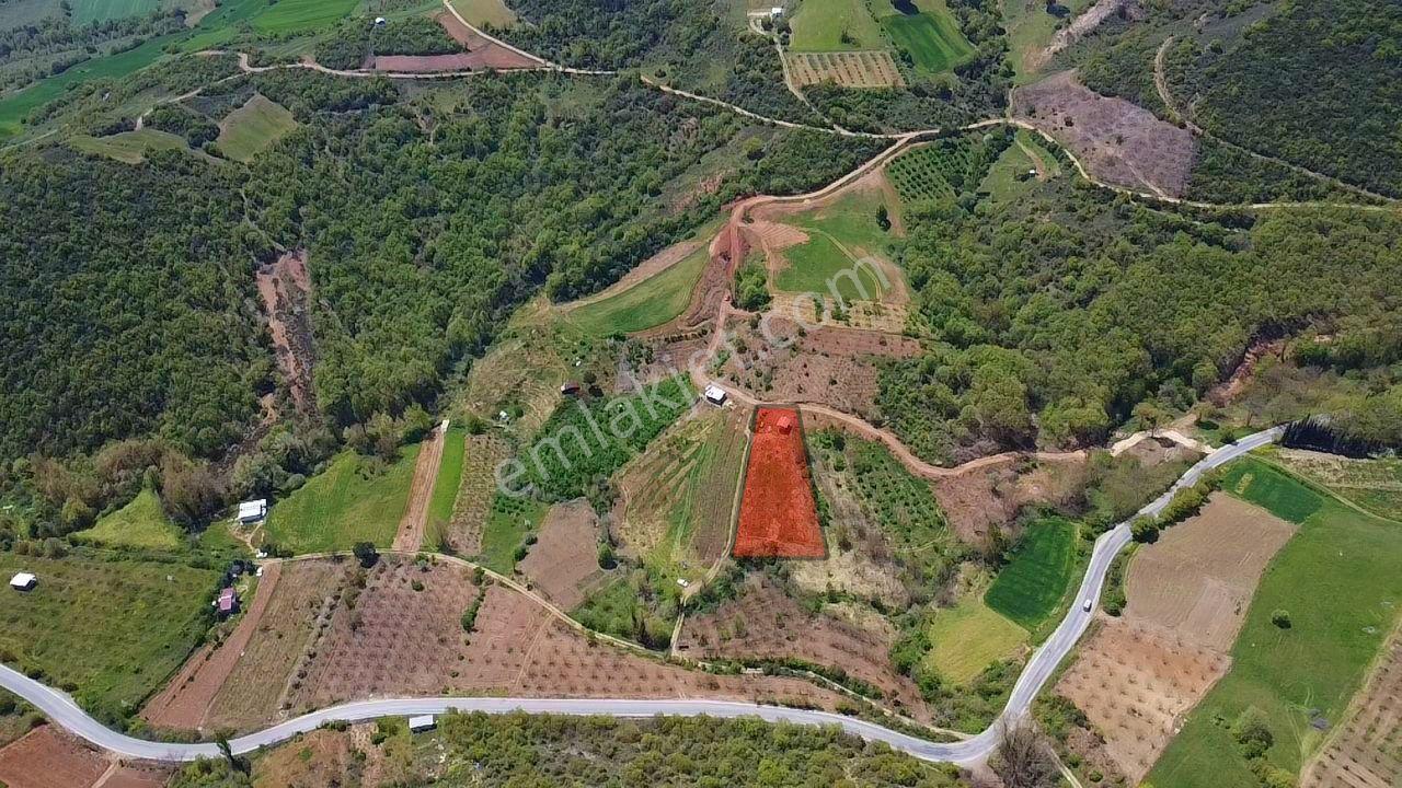 İdenova'dan Yenişehir Yeniköy'de 2843 M² Verimli Tarla - Görsel 7