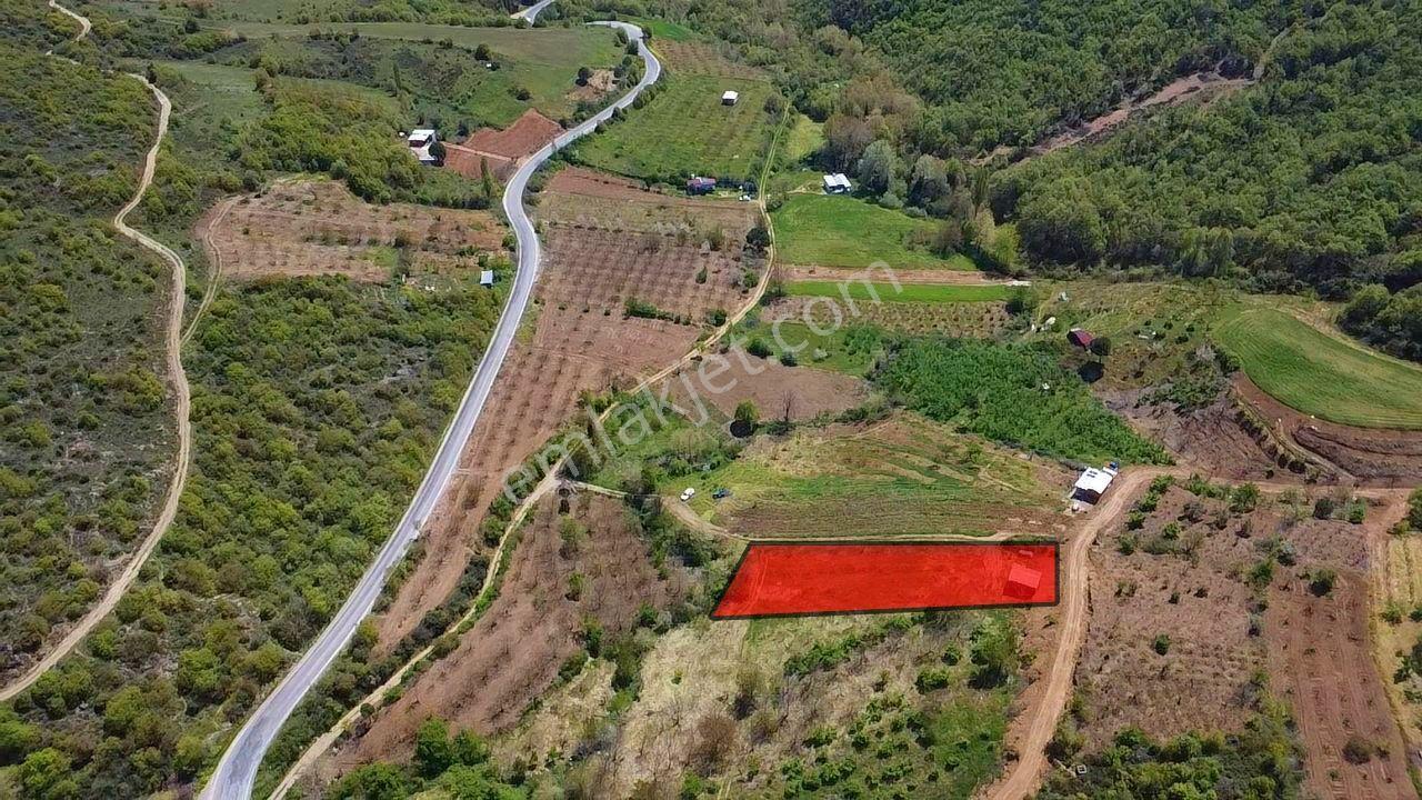 İdenova'dan Yenişehir Yeniköy'de 2843 M² Verimli Tarla - Görsel 6