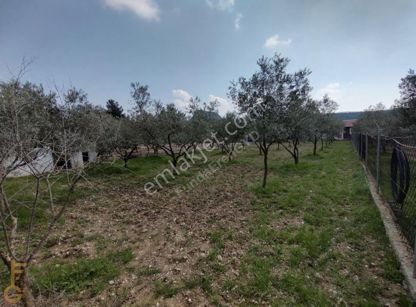 Çiçekliköy Yakaköy Sınırında 871m² Arsada 2+1 Müstakil Ev - Görsel 9