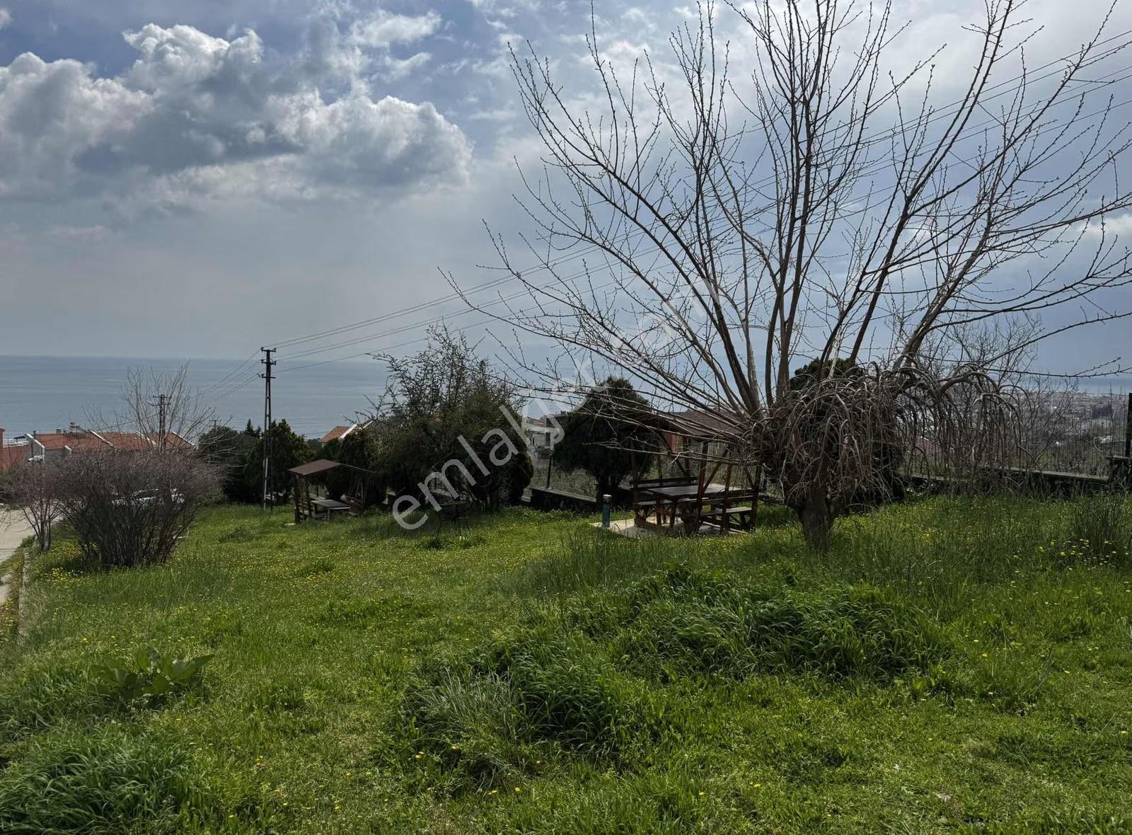 Tema Emlaktan Barbaros Mahallesi Devran Sitesi Kiralık 3+1 Daire - Görsel 9