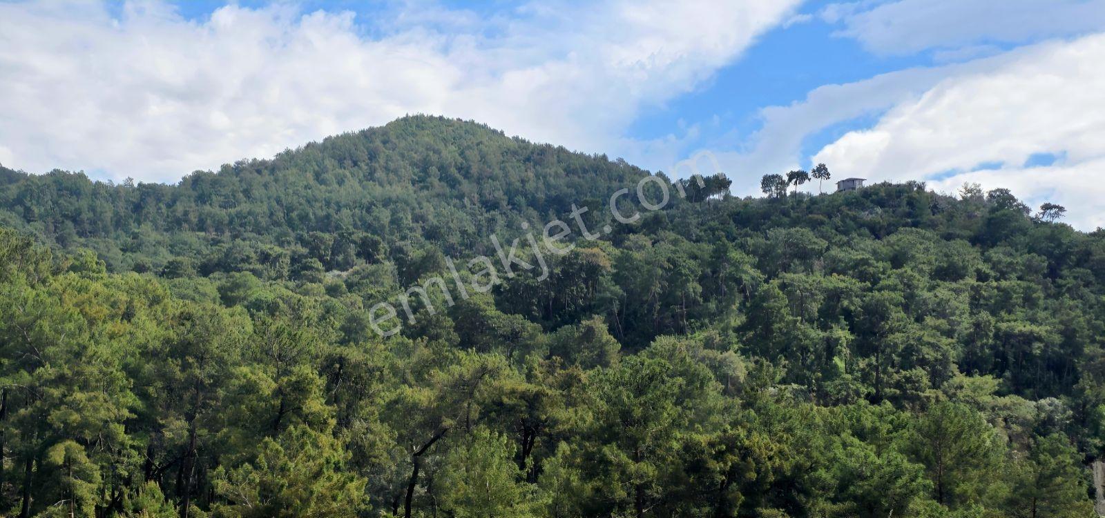 Göcek-manzaralı, Eşyalı, Yerden Isıtmalı Ve Donanımlı 4+1 Villa - Görsel 7