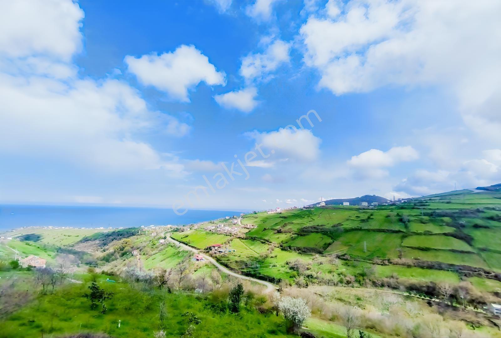 Hasköy Atay Residence Da Deniz Ve Doğa Manzaralı Kiralık 2+0 - Görsel 18
