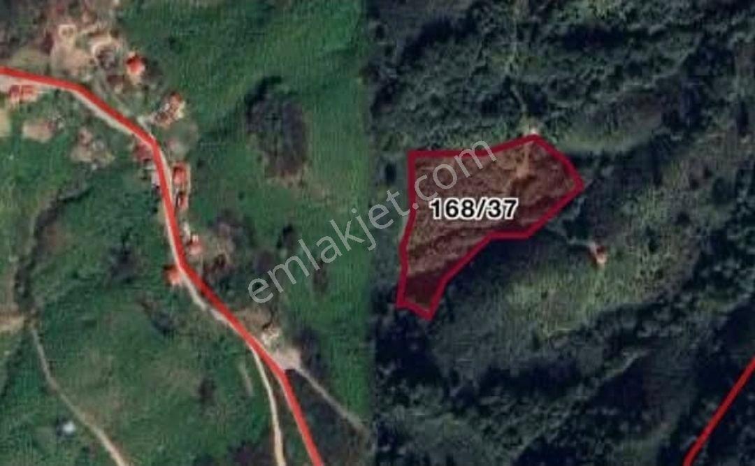 💢✅ 5.274m2 Giresun Organize Sanayi Hemen Yakınınd🔴 5374556787☎️ - Görsel 17
