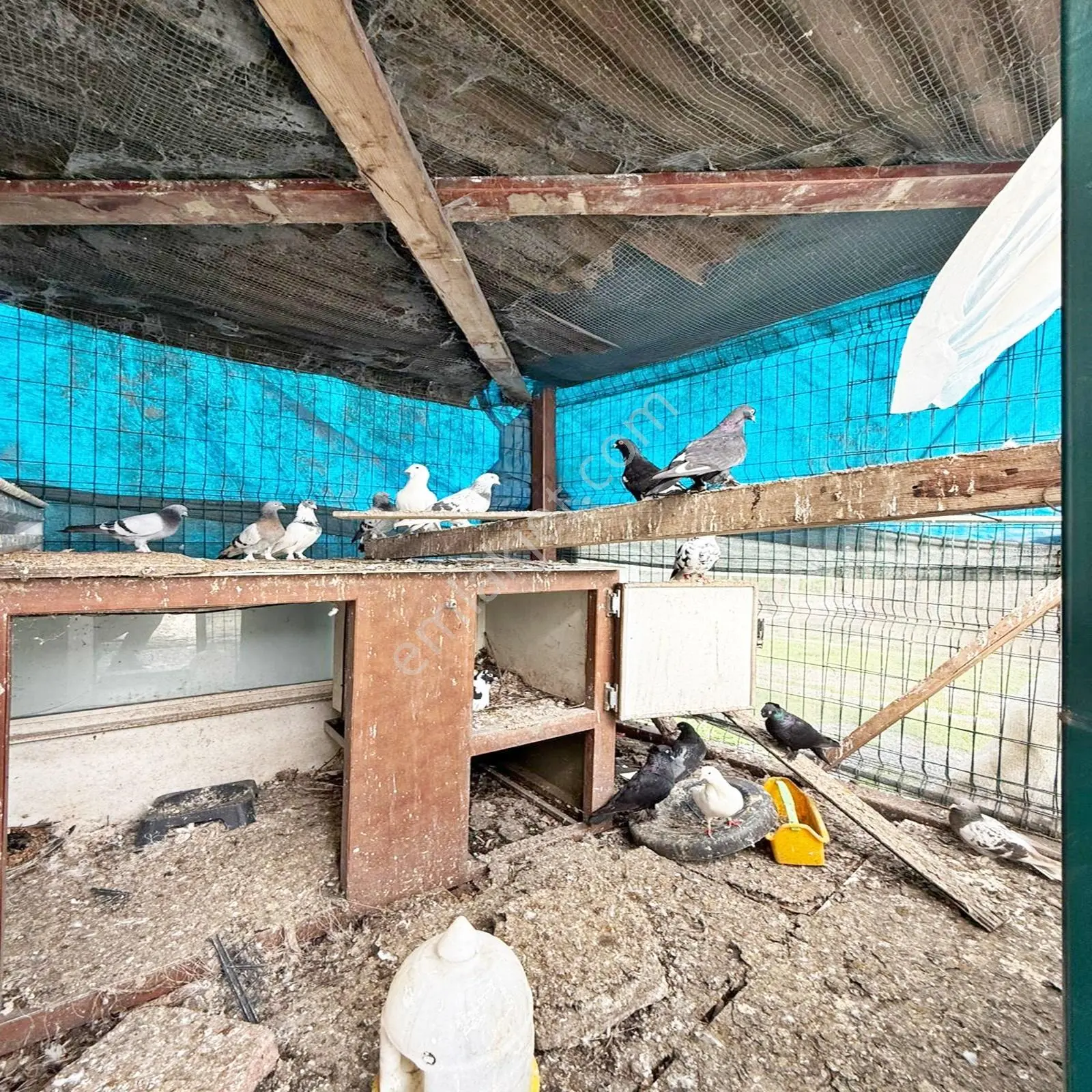 Çekmeköy Yapı Gayrimenkul'den Devren Kiralık Ocakbaşı !!! - Görsel 31