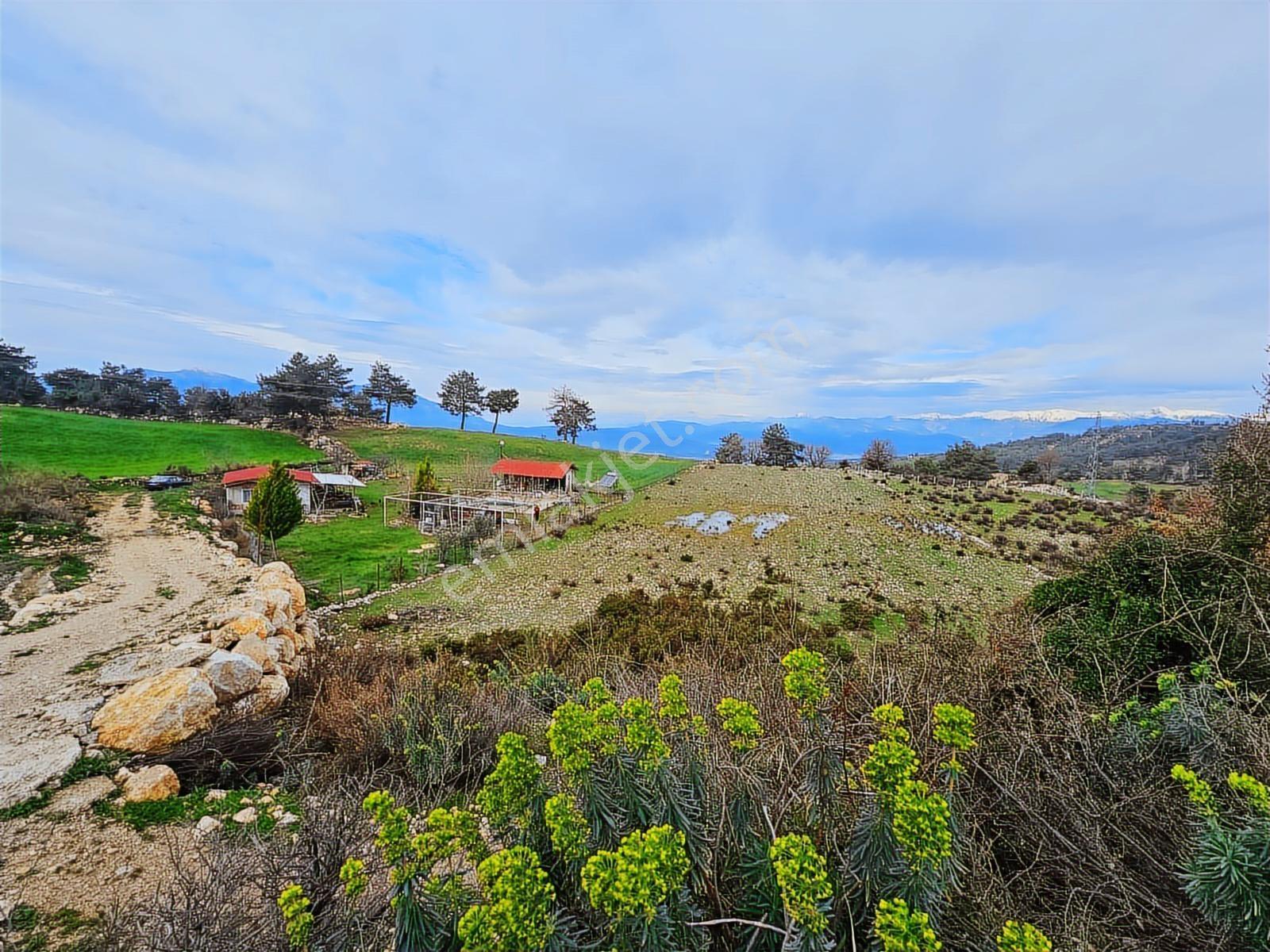 S.kemer Yaka Mahallesi 7253m² Müstakil Tapulu Ana Asfalt Sıfır - Görsel 12