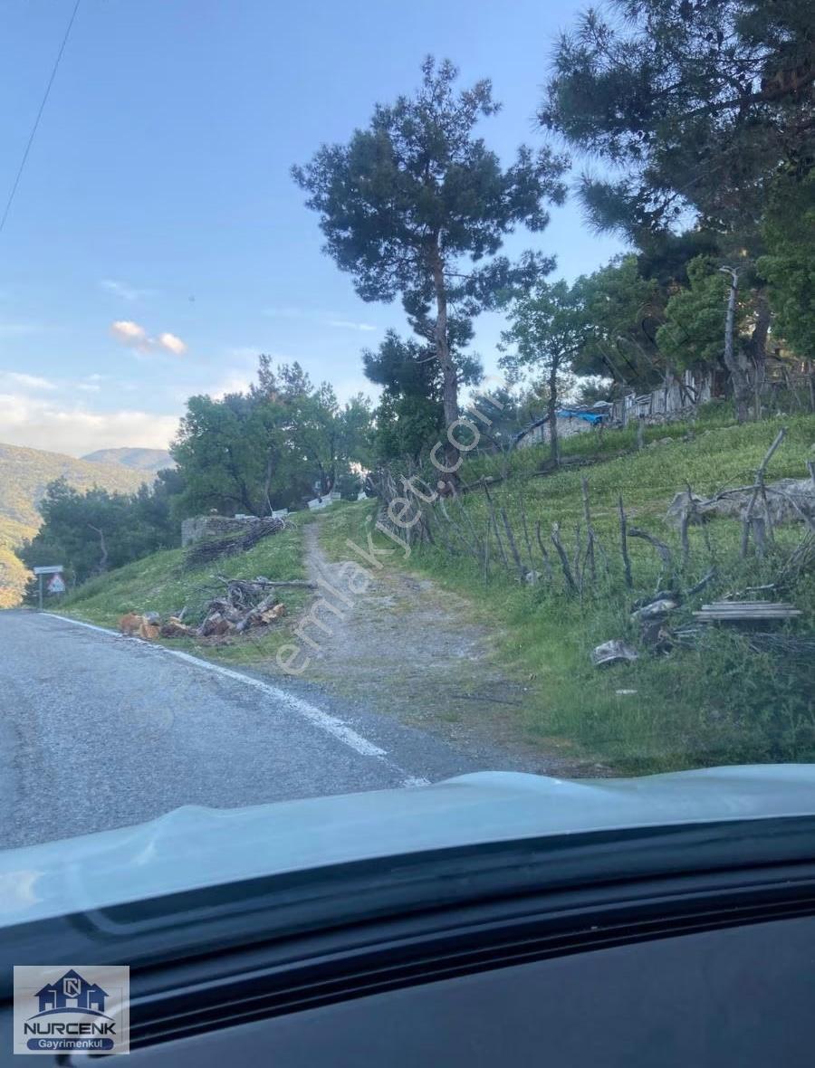 Burhaniye Çamtepe'de Kaçırılmayack Tarla Vasıflı Zeytinlik - Görsel 9