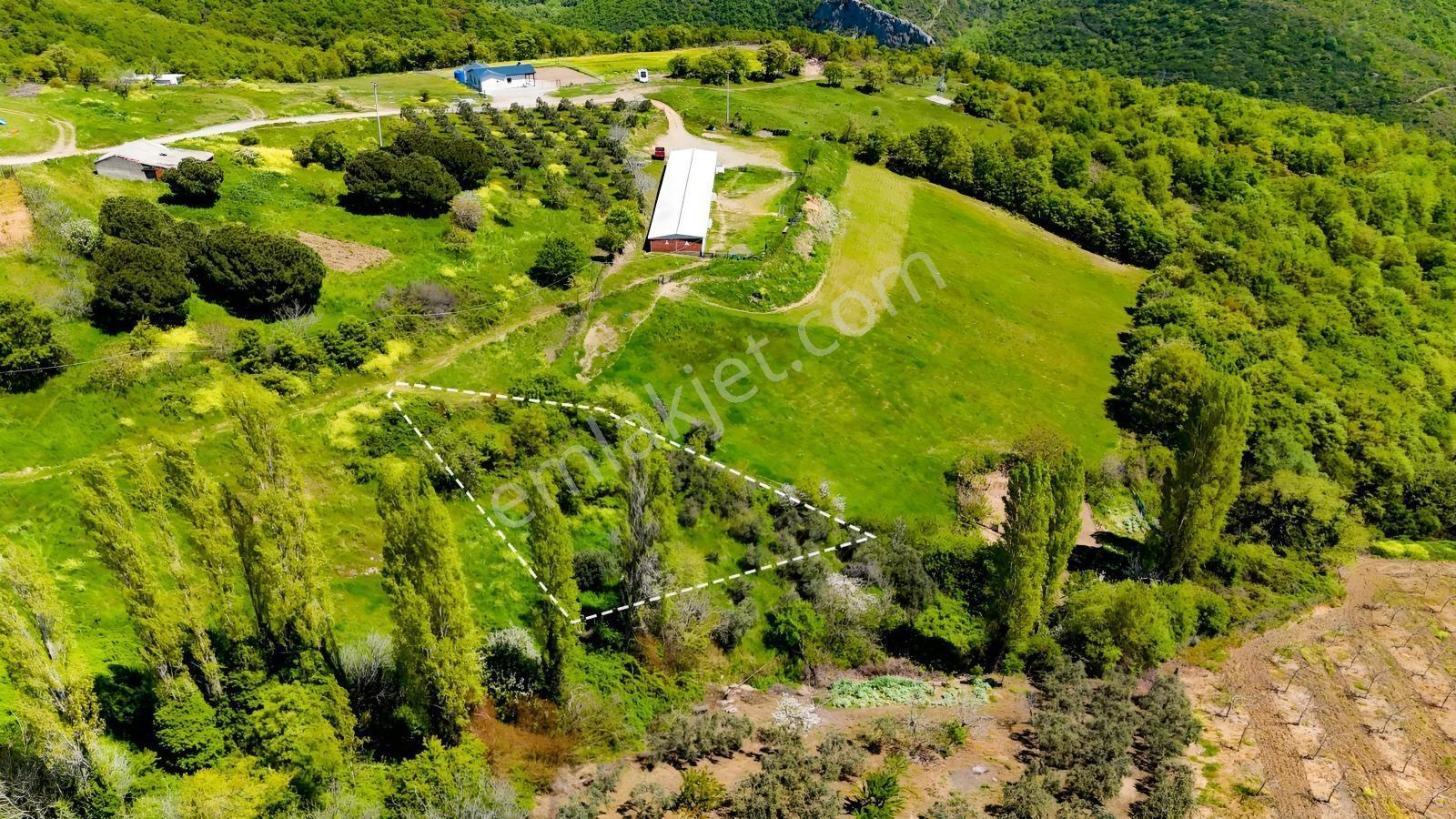 Karacabey Örencik De 1/1000 Villa İmar Planında Satılık Arazi - Görsel 10
