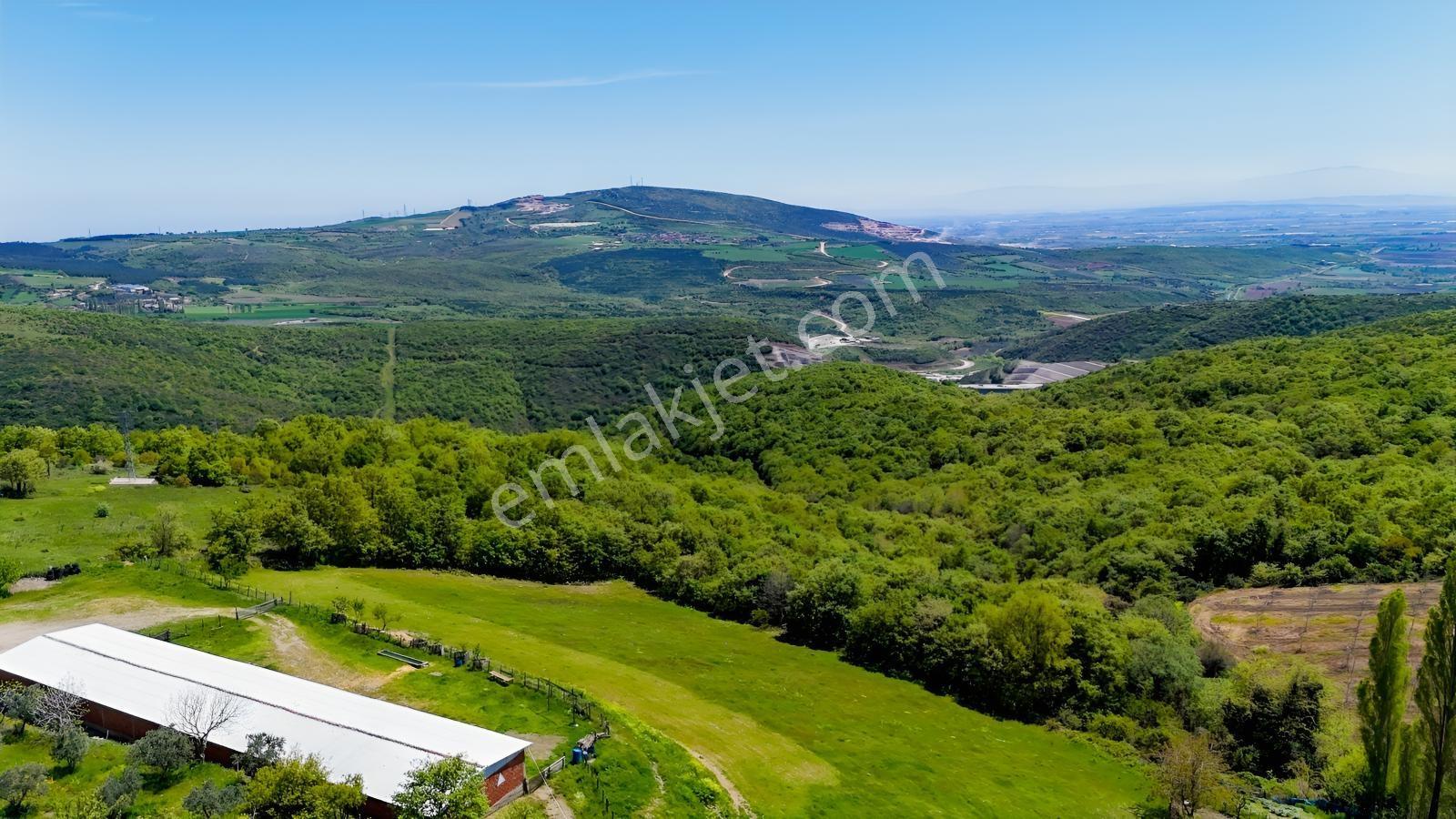 Karacabey Örencik De 1/1000 Villa İmar Planında Satılık Arazi - Görsel 23