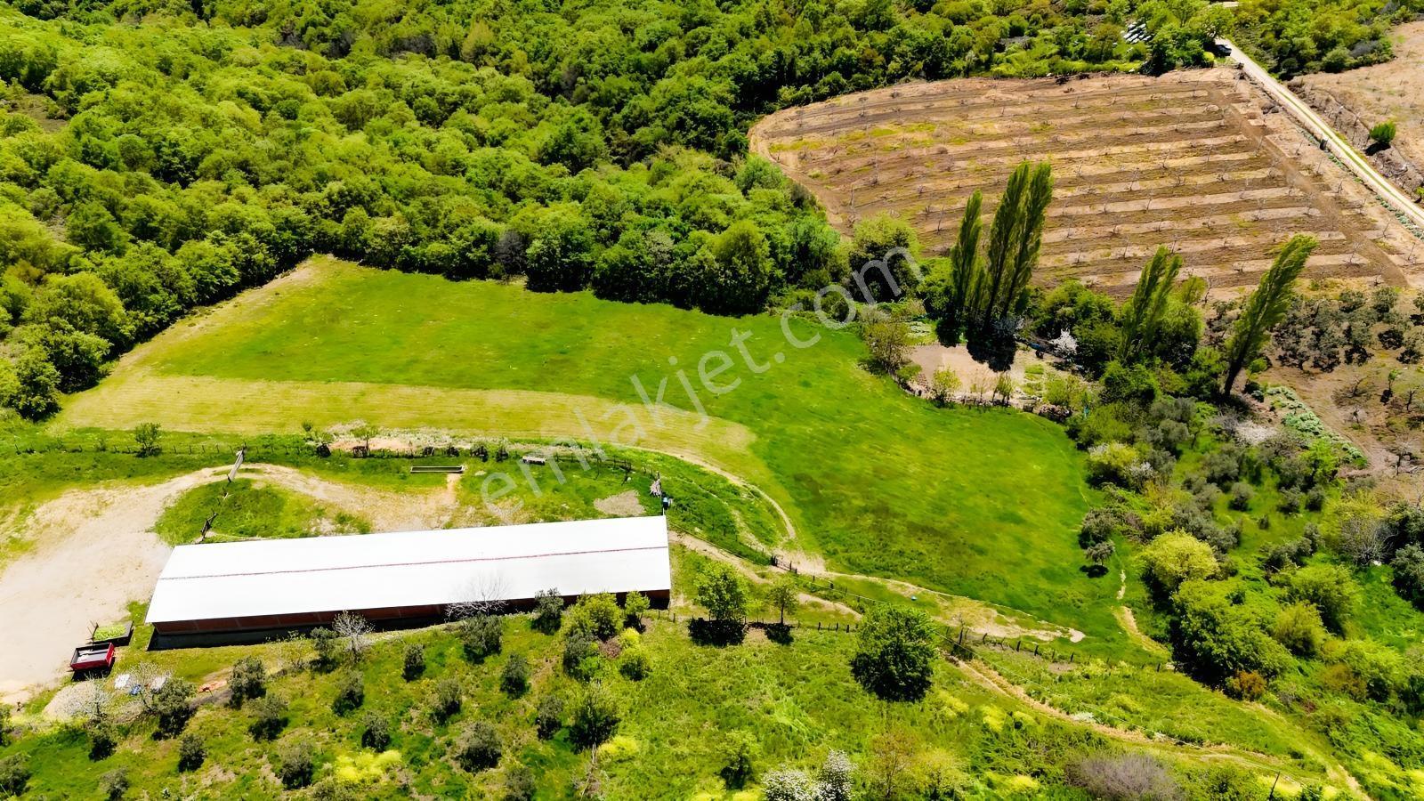 Karacabey Örencik De 1/1000 Villa İmar Planında Satılık Arazi - Görsel 18