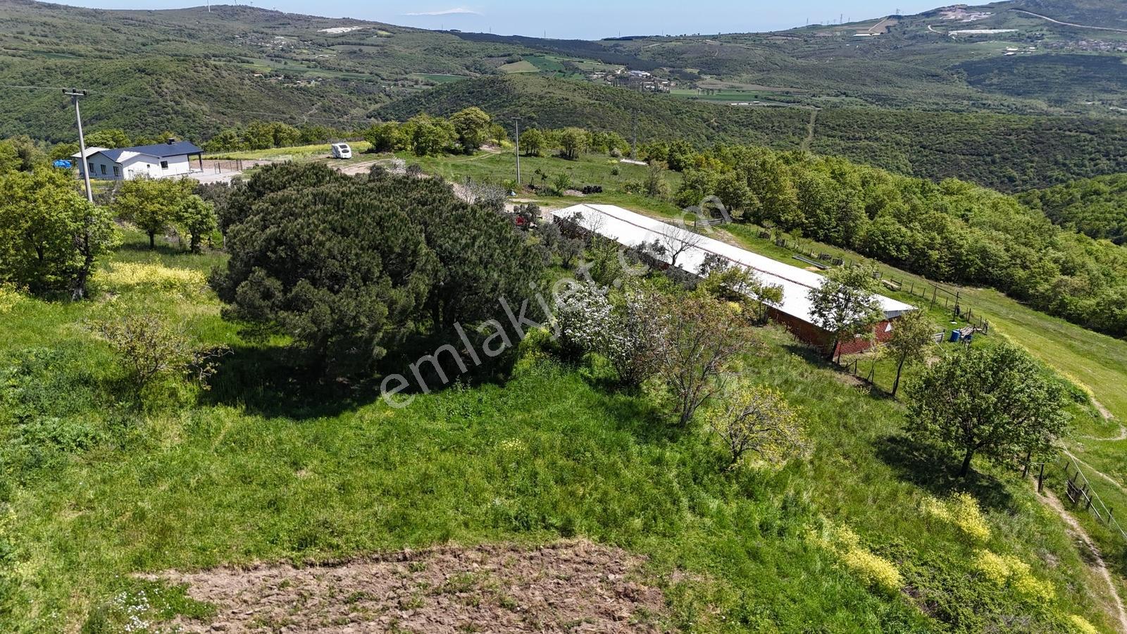 Karacabey Örencik De 1/1000 Villa İmar Planında Satılık Arazi - Görsel 21