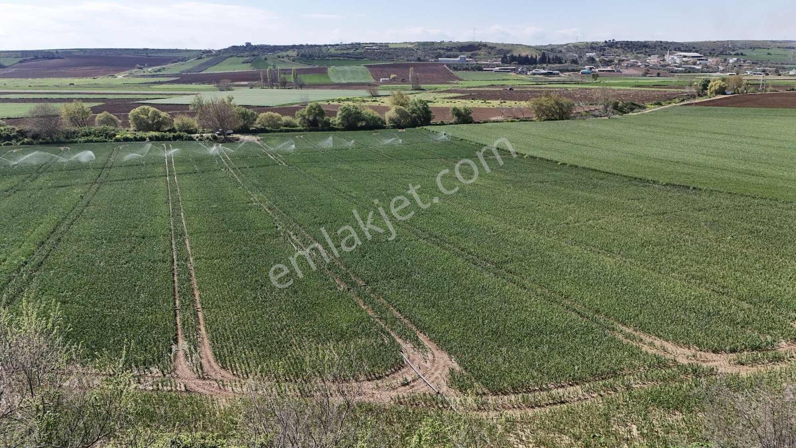 Alven Real Estate Karacabey Karasu 1900m² Tarla - Görsel 23
