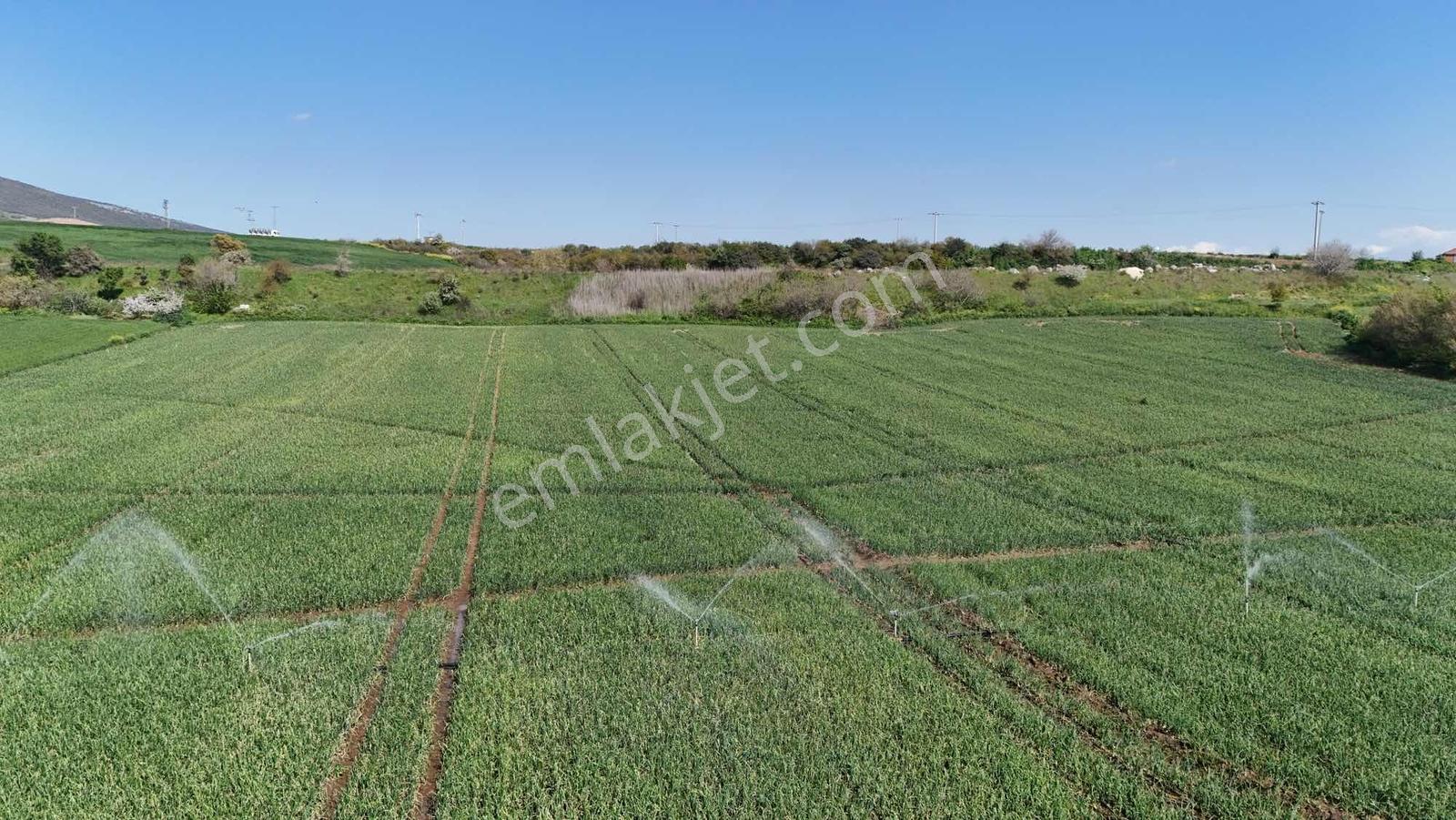 Alven Real Estate Karacabey Karasu 1900m² Tarla - Görsel 6