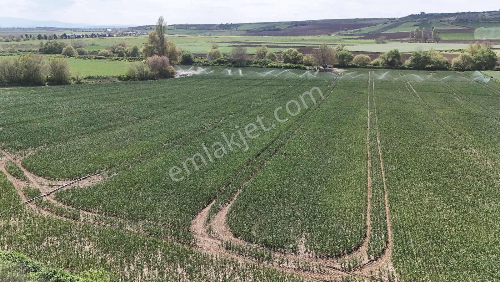 Alven Real Estate Karacabey Karasu 1900m² Tarla - Görsel 24