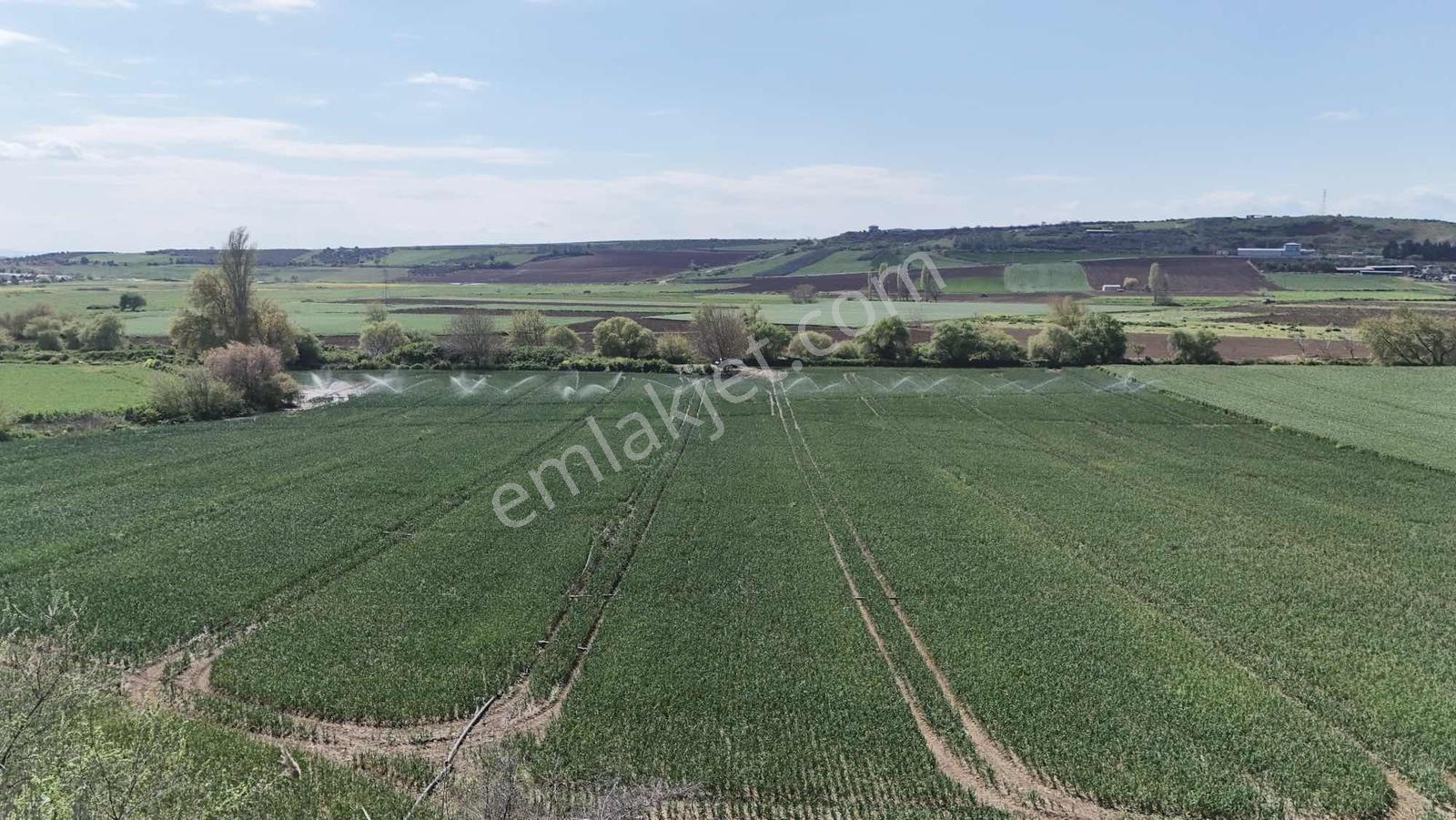 Alven Real Estate Karacabey Karasu 1900m² Tarla - Görsel 25