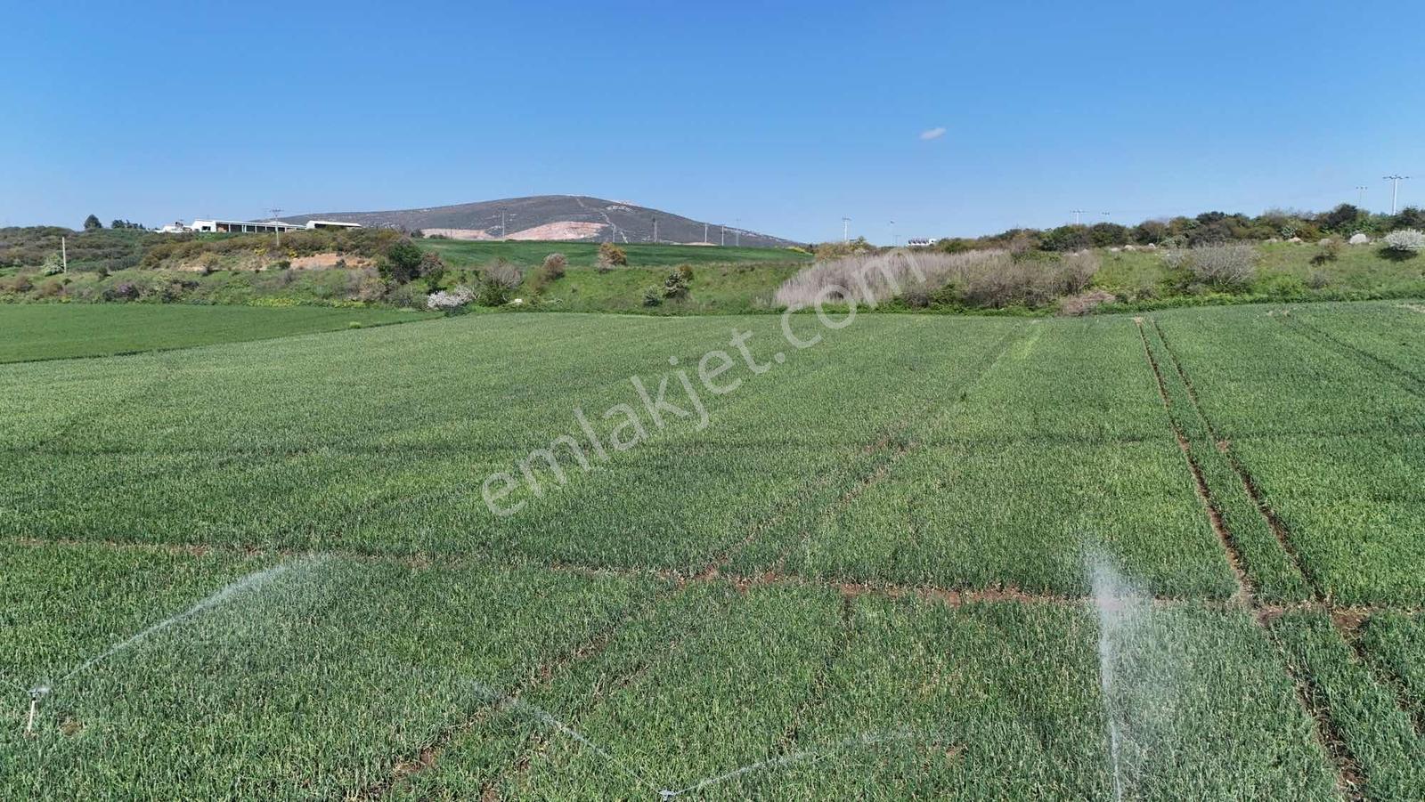 Alven Real Estate Karacabey Karasu 1900m² Tarla - Görsel 18