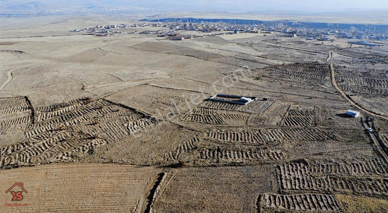 Ysf Emlak'tan Niğde Güllüce Mevki 1237m2 Satılık Bağ Takasa Açık - Görsel 16