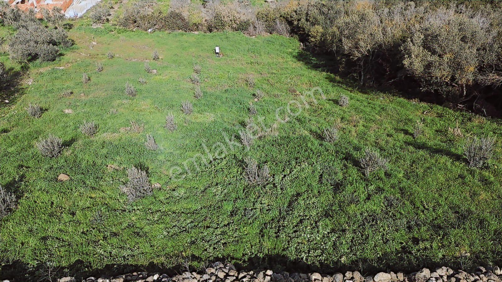 Bergama Kaşıkçı Mah'de 2.220 M² Satılık Tarla Ve Müstakil Ev - Görsel 23