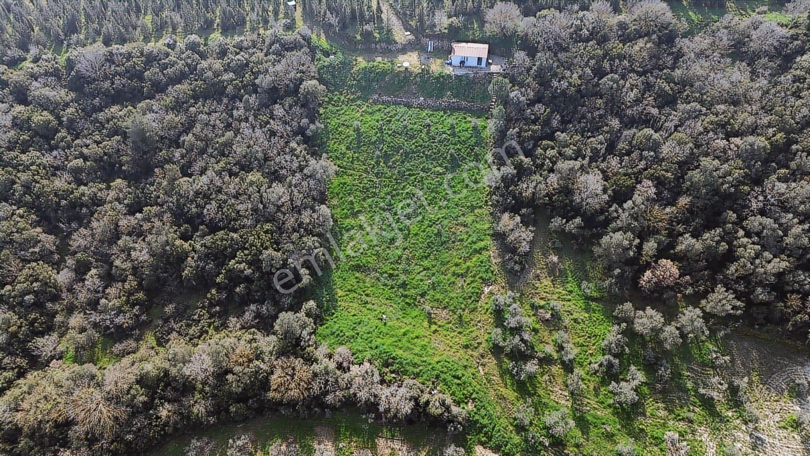 Bergama Kaşıkçı Mah'de 2.220 M² Satılık Tarla Ve Müstakil Ev - Görsel 7