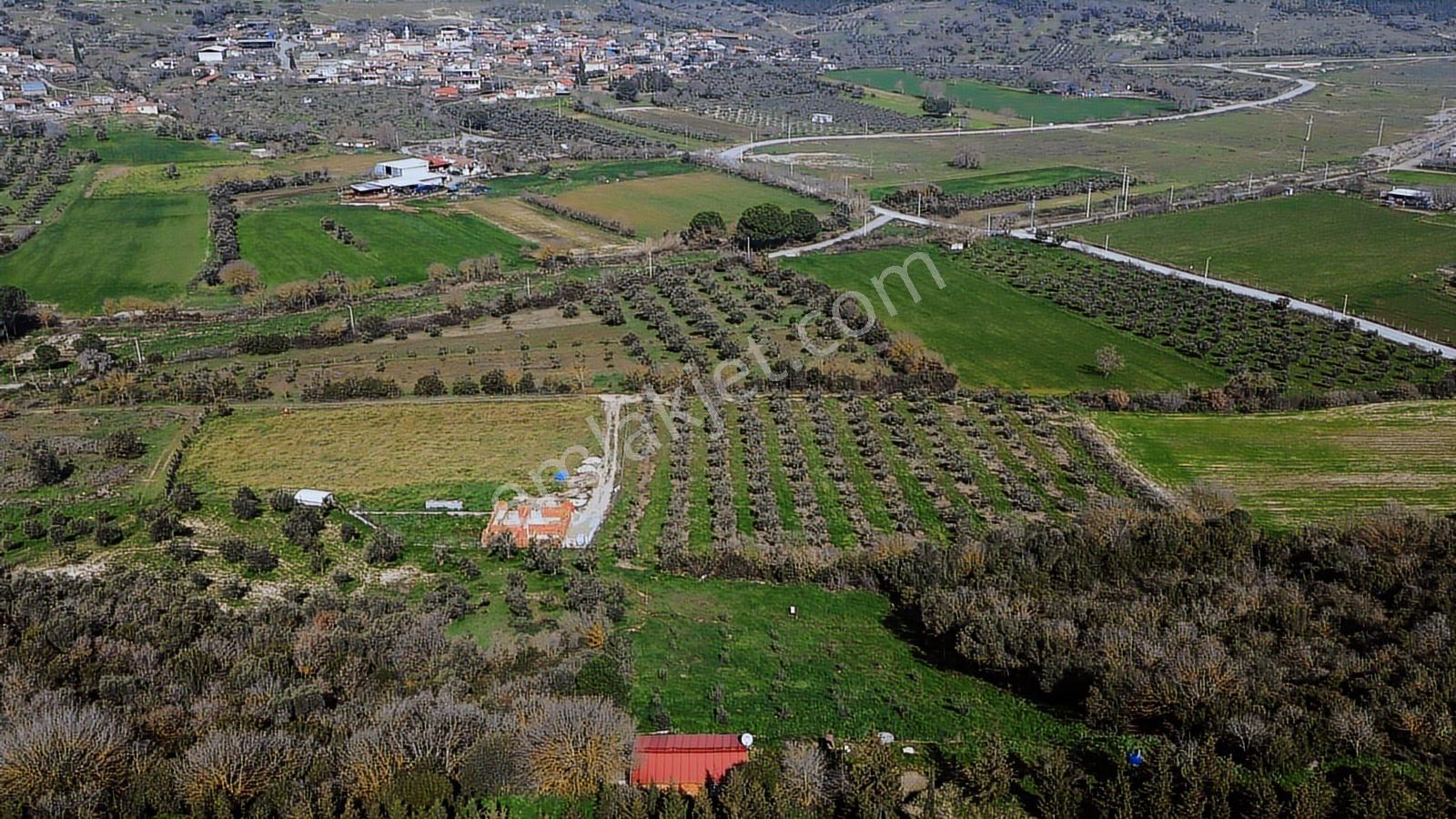 Bergama Kaşıkçı Mah'de 2.220 M² Satılık Tarla Ve Müstakil Ev - Görsel 6