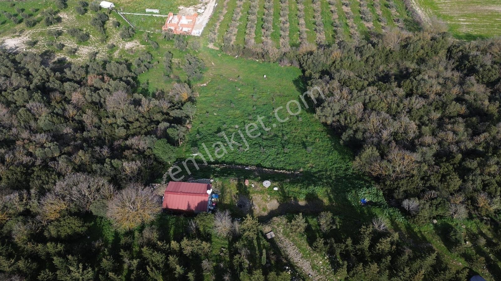 Bergama Kaşıkçı Mah'de 2.220 M² Satılık Tarla Ve Müstakil Ev - Görsel 18