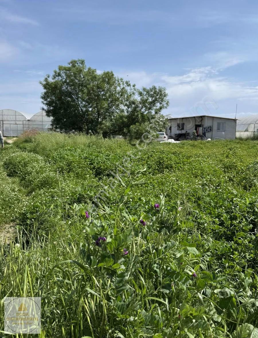 Yukarıkocayatak Mh. Köy Merkezi Tek Tapu Satılık 3.550m² Tarla - Görsel 3