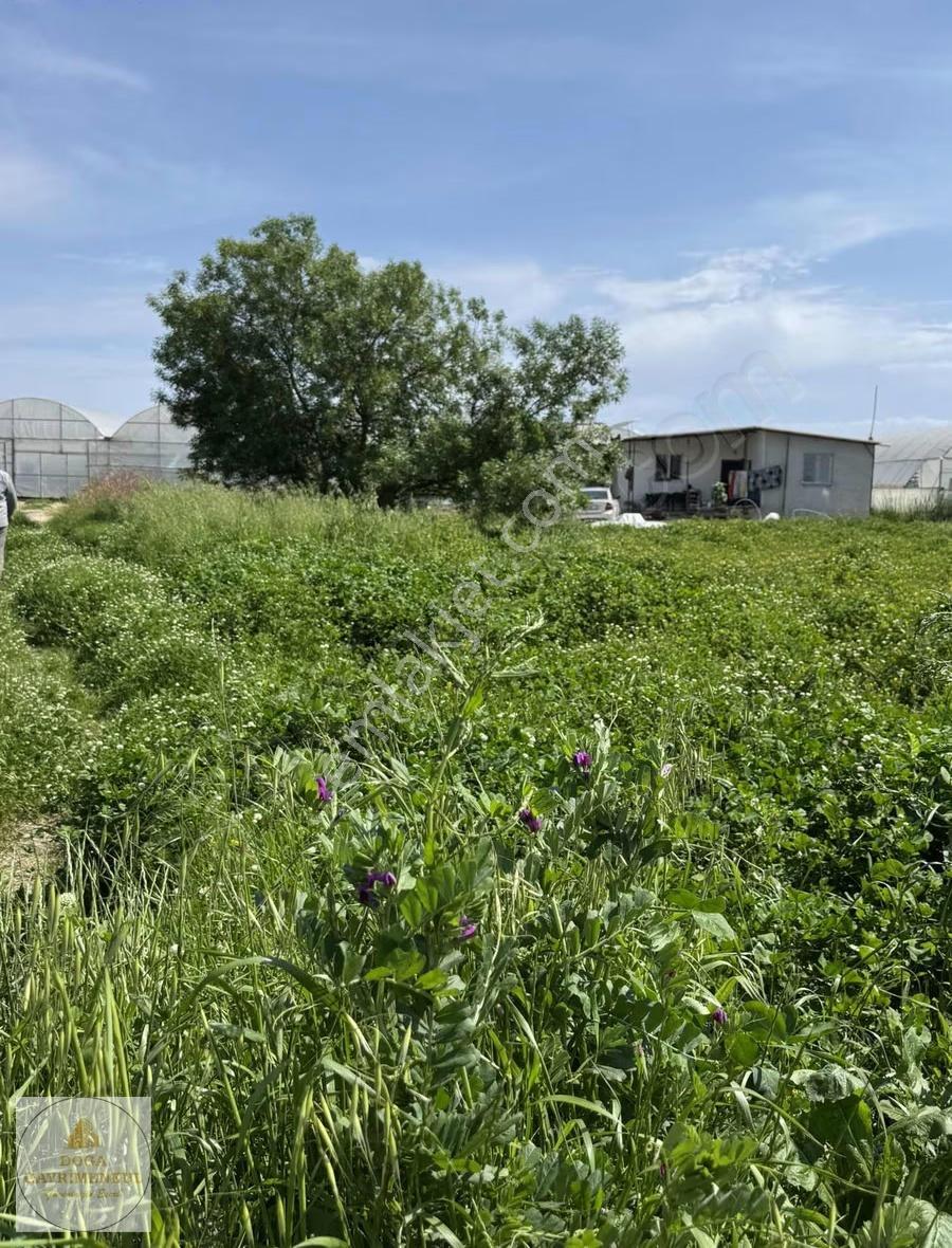 Yukarıkocayatak Mh. Köy Merkezi Tek Tapu Satılık 3.550m² Tarla - Görsel 5