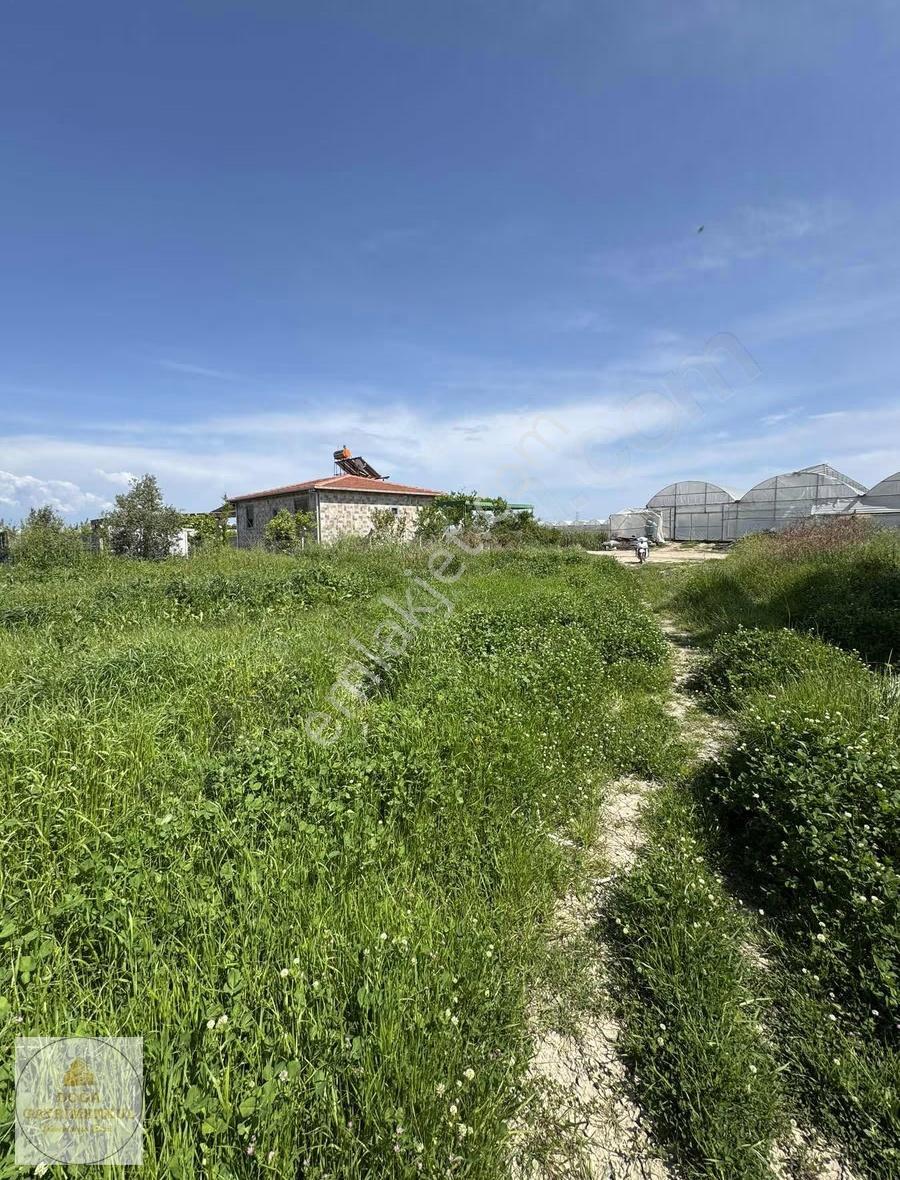 Yukarıkocayatak Mh. Köy Merkezi Tek Tapu Satılık 3.550m² Tarla