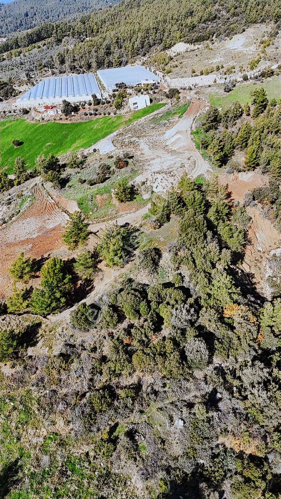 Kumluca Deniz Manzaralı Tarla - Görsel 24