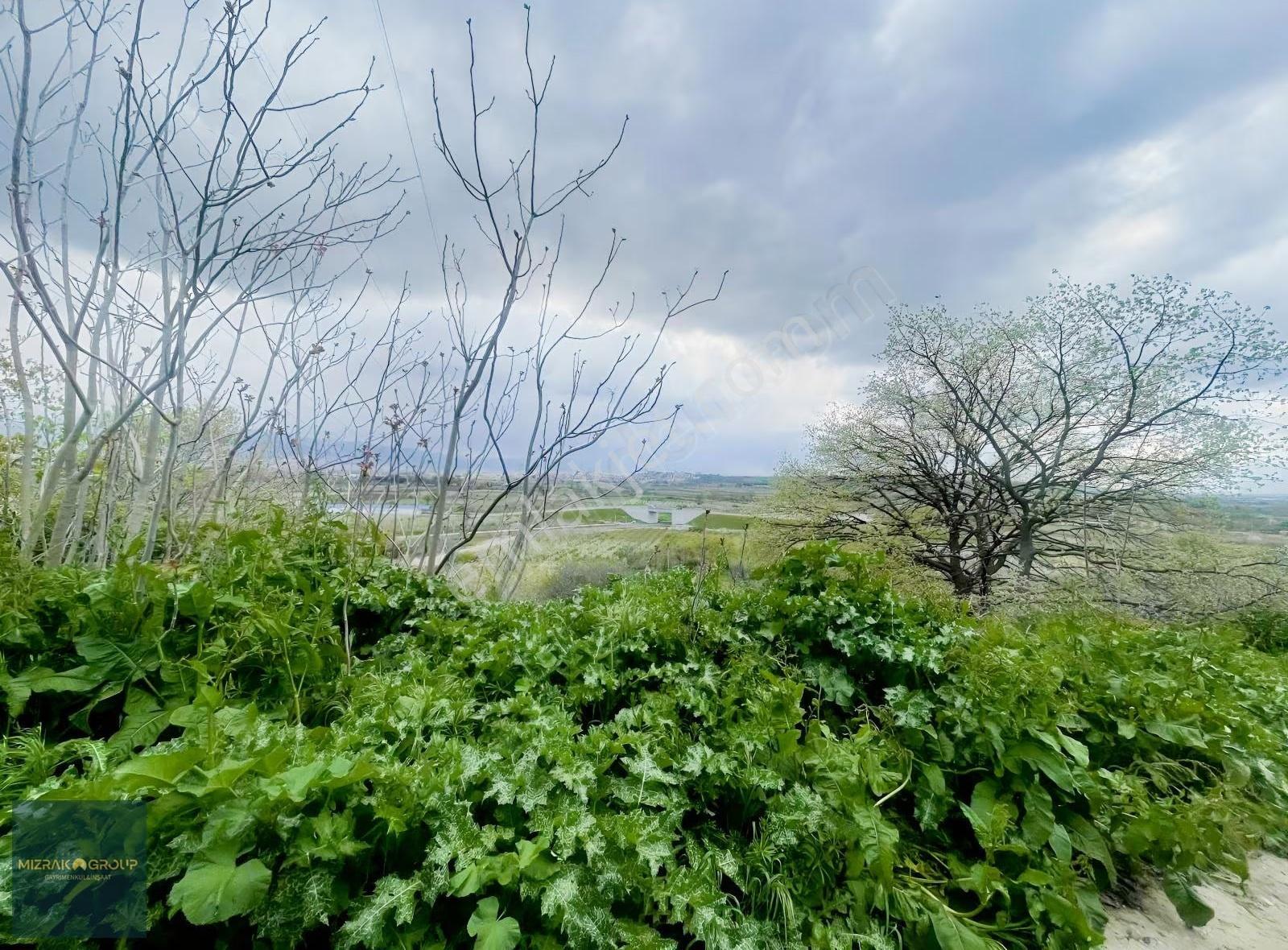 Çağlayan Da 3340 M2 İncir Bahçesi - Görsel 4