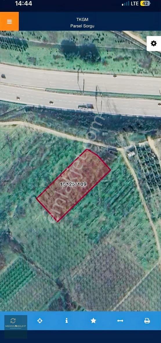 Çağlayan Da 3340 M2 İncir Bahçesi - Görsel 8