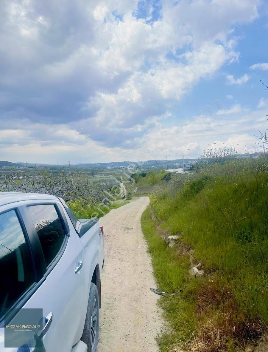 Çağlayan Da 3340 M2 İncir Bahçesi - Görsel 3