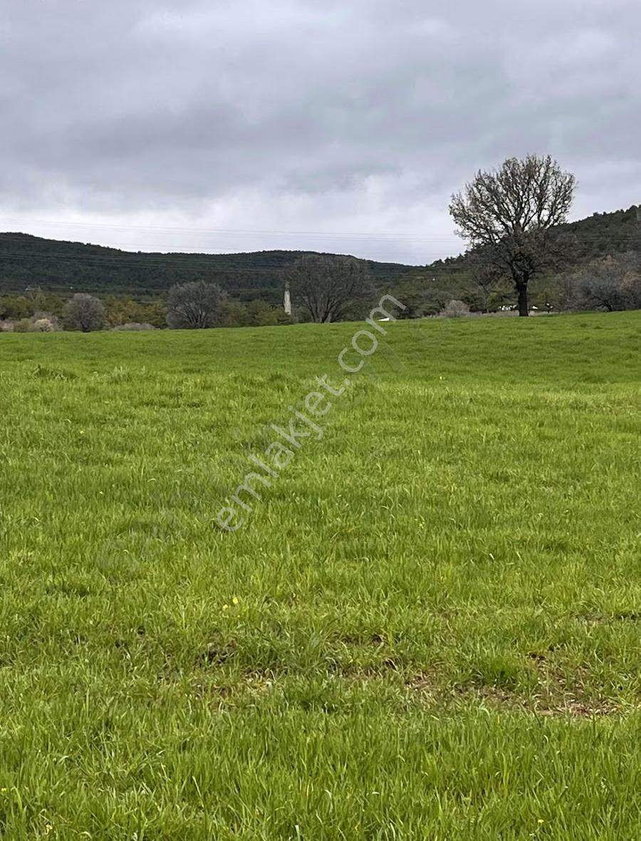 İzmir Ankara Yoluna 600m Gölkenarı 18000m2 Yolu Eletrik Tarla - Görsel 10