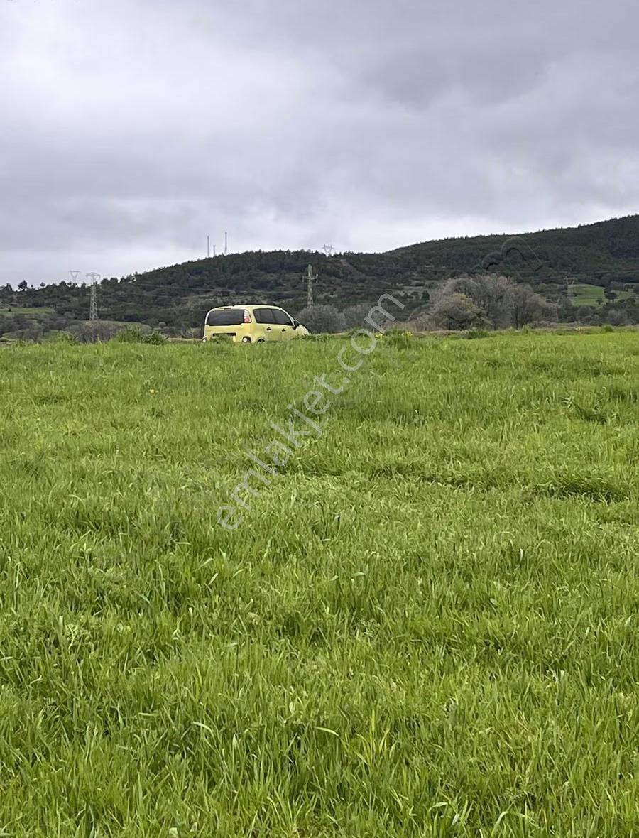 İzmir Ankara Yoluna 600m Gölkenarı 18000m2 Yolu Eletrik Tarla - Görsel 6