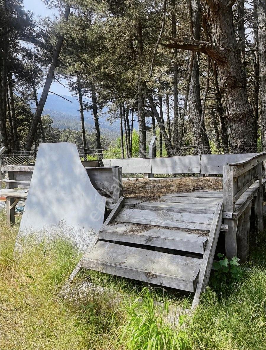 Kemalpaşa Ovacık Köyünde Kiralık Müstakil Bahçeli Ev - Görsel 6