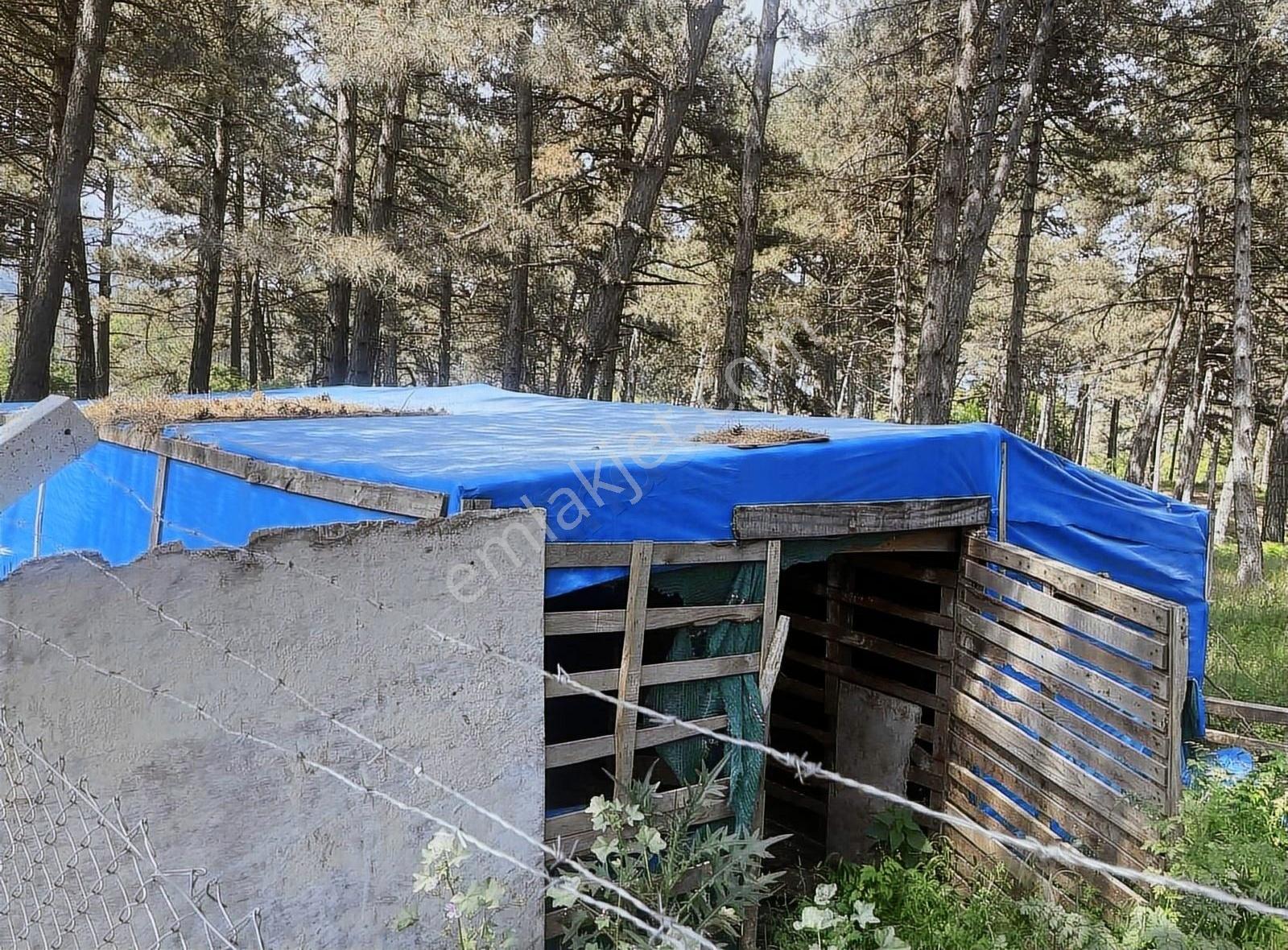Kemalpaşa Ovacık Köyünde Kiralık Müstakil Bahçeli Ev - Görsel 10