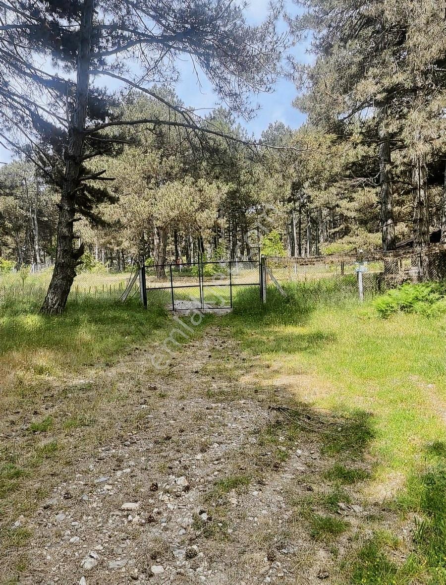 Kemalpaşa Ovacık Köyünde Kiralık Müstakil Bahçeli Ev - Görsel 23