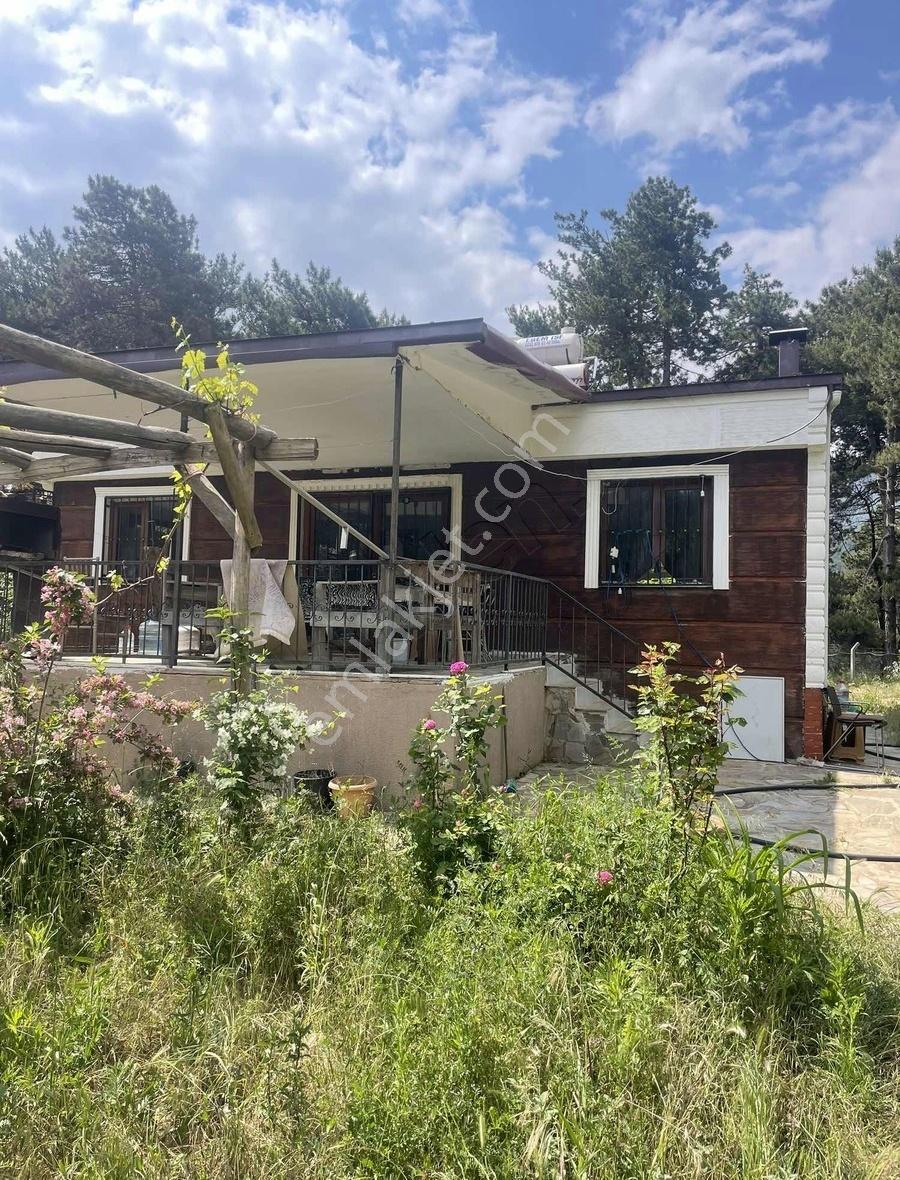 Kemalpaşa Ovacık Köyünde Kiralık Müstakil Bahçeli Ev - Görsel 19